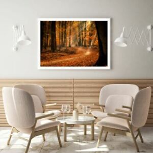 Autumn Forest Sunset Photograph Print Premium Poster High Quality choose sizes