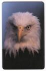 Bald Eagle Photo. ValuLine Phone Card