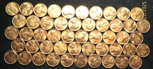 1 Roll of Forty(40) 1971-D Lincoln Memorial Pennies Uncirculated - Picture 1 of 2