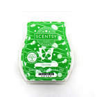Scentsy Coco Lime Wax Melts Bar 3.2 Oz. Made in USA – New in Packaging
