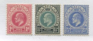 Natal KEVII 1902 1/2d,  1 1/2d,  2 1/2d mint o.g. hinged - Picture 1 of 1