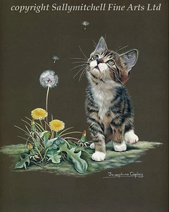 Gatito con diente de león, estampado artístico de J. Copley - Imagen 1 de 1