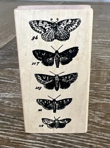 Un sello en mano - Colección polillas lepidópteristas - Sello de goma. - Imagen 1 de 5