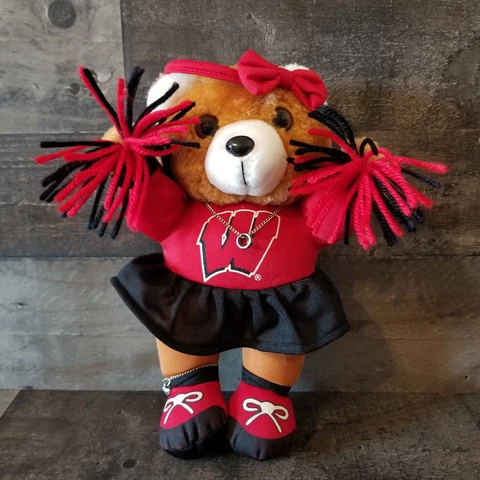 Vintage Wisconsin Badgers Cheerleader With Charm Necklace &Charm Anklet Plush Cover