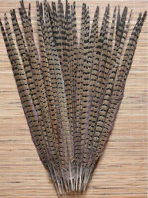 Beauti Pheasant Tail Feathers For Wedding Decora Wholesale 10-34 Inch (25-85CM) • 379.12€