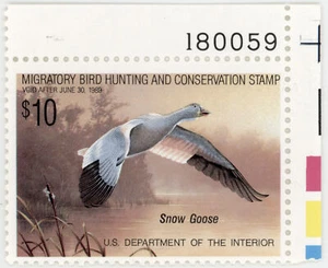 US Scott #RW55 Margin/Plate # | Mint NH | VF Very Fine - Picture 1 of 2