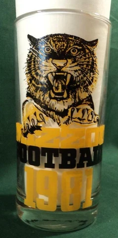 University of Missouri Football Glass RARE 1981 Tumbler Mizzou Tigers Vintage Cover