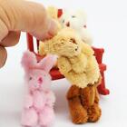 5x 1/12 Miniature Animal Model Dollhouse Decoration Soft Animal Model Toy Mini