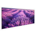 islandburner Bild auf Leinwand Vast purple lavender fields stretch to the horizo