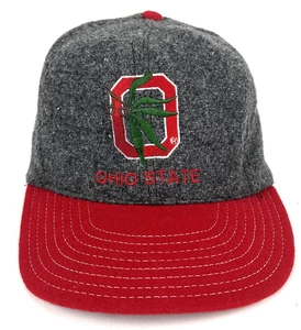 Vintage Ohio State Buckeyes USA Made Gray Wool Snapback Paramount Cap MFG Rare - Picture 1 of 9