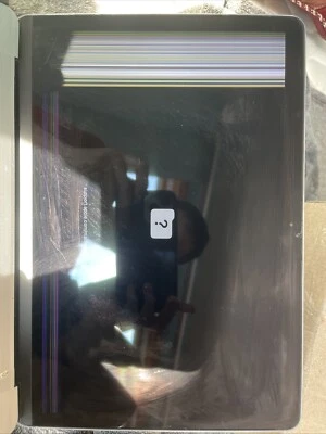 Portátil Apple MacBook MJY32LL/A (256 GB SSD, Intel Core M-5Y31, 1,10 GHz, 8 GB) Foto 1 de 4