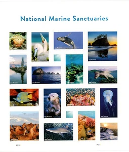 2022 National Marine Sanctuaries Sixteen Forever Self-adhesive Stamps Brand New - Picture 1 of 2