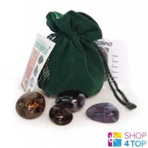 Scorpion ASTROLOGICAL CRYSTAL Talismans lo scarabeo Tigre Ciel ZODIAC Signe Neuf - Photo 1 sur 1