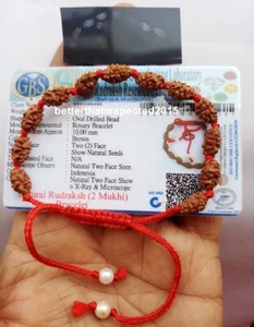 Pulsera 2 Mukhi Rudraksha / Muñequera Rudraksh de dos caras Certificada por Laboratorio de Cuentas Java - Imagen 1 de 2