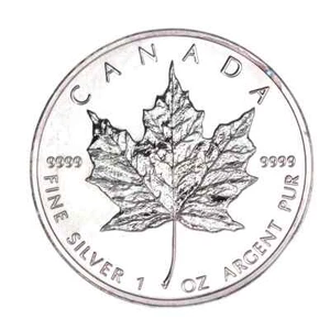 2006 Canadian Silver Maple Leaf 999.9 Fine Silver Coin: Collectible Bullion - Picture 1 of 4