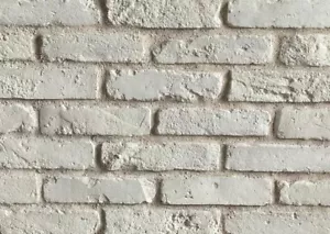Rustikale weiße Ziegelrutscher/Ziegelverkleidung/Wandfliese/Ziegelfliese PROBE - Bild 1 von 5