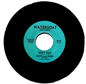 HAUS WHITE & THE FLOCK -The Presidents Roll / Tricky Duck -45rpm Watergoat WG101 - Imagen 1 de 4