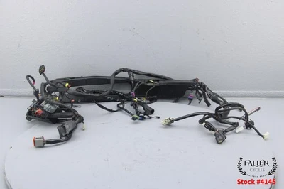 Harley Road King Classic 2007 FLHRC arnés de cableado principal 70245-07 video #4145 Foto 1 de 4