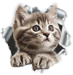Aufkleber Einschussloch 90 mm Motiv Katze klein Sticker - Bild 1 von 1