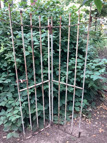 Antique Decorative Metal Gate with Chippy White Paint Cover
