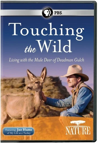 Nature: Touching the Wild-Living with the Mule Deer of Deadman Gulch (DVD)