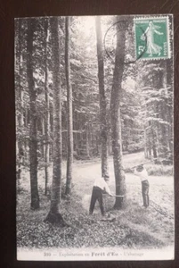 CPA (43) Exploitation en Forêt d'Eu- L'abattage - Foto 1 di 2