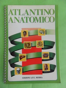 ATLANTINO ANATOMICO.CON LUCIDI ALL'INTERNO.MURSIA.1990 - Picture 1 of 1