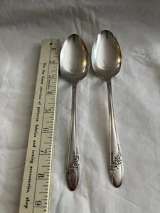2 Oneida Queen Bess II Floral Silver Plate Serving Table Spoon Pair 8 1/4” - Picture 1 of 4