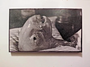 Magnet - Eraserhead Baby David Lynch Cult Movie 1/8 inch Thick Masonite - Picture 1 of 5