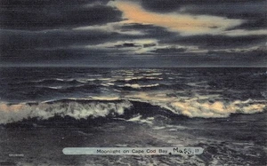 Vintage Mondlicht auf Cape Cod Bay Postkarte von Tichnor Bros - Bild 1 von 2