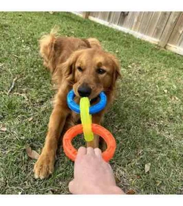 Nerf Dog 3 Ring Tuff Tug Toy ~ Strong Durable Rubber Rings Interactive Puppy - Picture 1 of 11