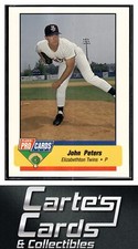 John Peters 1994 Fleer ProCards #3730  Elizabethton Twins