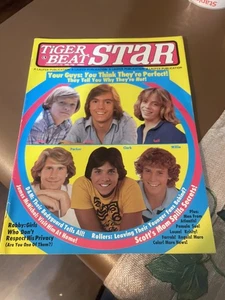 Tiger Beat Star Magazine Feb 1978 Donny Marie Osmond Parker Stevenson Hardy Boys - Bild 1 von 5