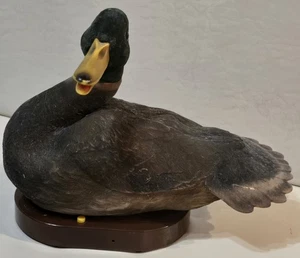 12" GEMMY Lockvogel Roy singt sprechende Stockente Witze, teilweise funktionsfähig/beschädigt - Bild 1 von 14