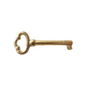 Universal Skeleton Furniture Cabinet Key Lock Polished Brass Plated 2-1/2" Long - Picture 1 of 4