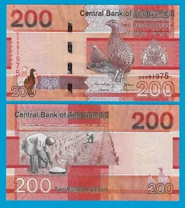 Gambia 200 Dalasis P 42 UNC 2023 / 2024 - Picture 1 of 1
