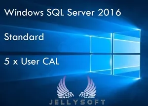 Microsoft SQL Server 2016 Standard USER CAL ✔ 5 Nutzer / User CAL ✔ TOP ✔ - Bild 1 von 1