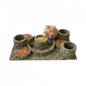 Laberinto Hide n Treat de palo de rosa natural para mascotas pequeñas - hámsters, jerbos, degús - Imagen 1 de 3