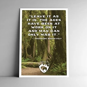 Leave it as it is Theodore Roosevelt Reiseposter/Postkarte USA mehrere Größen - Bild 1 von 4