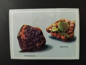 FIGURINA VITA E COLORE ED. MODERNA 1969 n. 276 OTTIMA DA RECUPERO - Bild 1 von 2