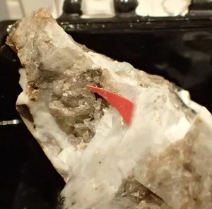 CAPPELINITE-(Y) Crystals Rare Fine Mineral Specimen Mont Saint Hilaire, CANADA - Picture 1 of 6