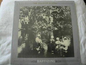 THE SELDOM SCENE BAPTIZING VINYL LP 1978 REBEL RECORDS BY THE SIDE OF THE ROAD - Bild 1 von 3