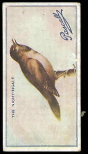 Pascall (James) - 'British Birds' (1925) - The Nightingale - Picture 1 of 2