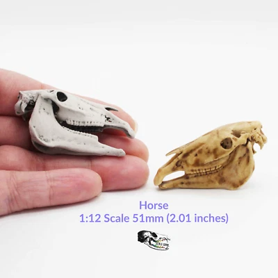 THE SCALE GRAIL Horse Skull Miniature, 1:12 Scale Dollhouse Diorama Craft Supplies (1 skull)