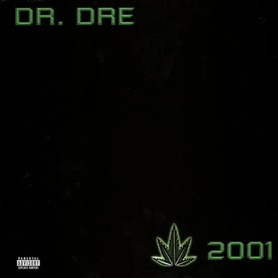 Dr. Dre - 2001 Explicit Vinyl Edition (1999 - EU - Reissue) - Bild 1 von 2