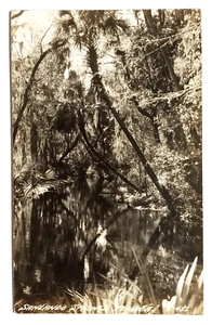 Sanlando Springs FL c1940s Real Photo Postcard RPPC Florida EKC Recreation Park - Picture 1 of 2
