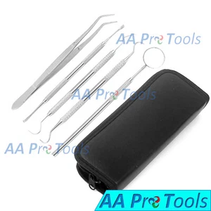 Dental Set Kit Scaler Pick Deep Cleaning Professional Oral Hygiene Tooth PR-329 - Picture 1 of 3