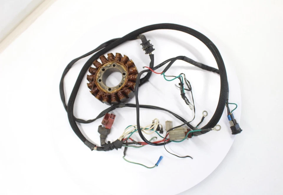 Honda CBR900RR 1995 OEM GENERADOR DE ESTATOR ALTERNADOR MAGNÉTICO Foto 1 de 4