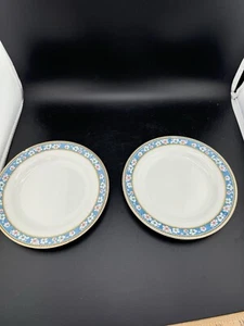 2 Small Bread & Butter Plates Antique J&G Meakin / 6” / 1 Rim Chip - Picture 1 of 7