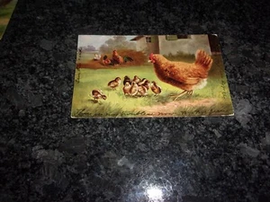 BARN ANIMALS - COUNTRY FARM SCENE - HEN AND CHICKS-   VINTAGE POSTCARDS - - Picture 1 of 3